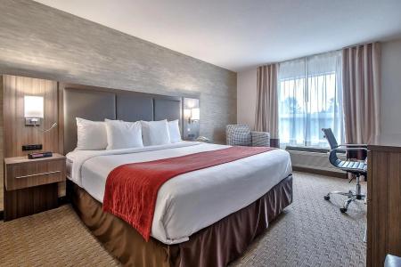 Comfort Inn & Suites South - 2