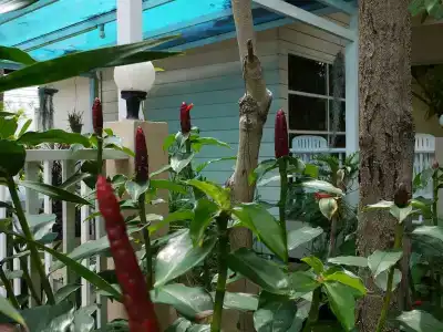 Reera Resort - 14