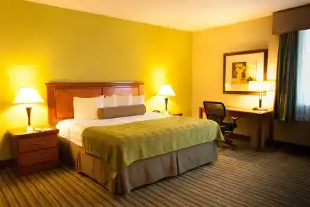 Best Western Plus Miami-Doral/Dolphin Mall - 19