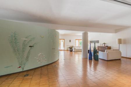 Aquadulci - 25