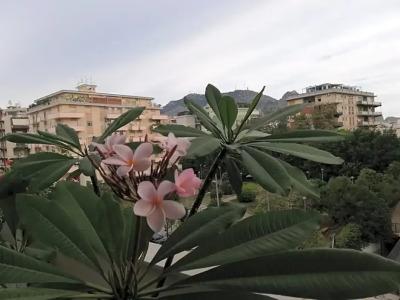 120 Rodionoff Palermo B&B - 70