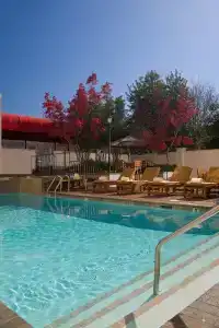 Charlotte Marriott SouthPark - 9