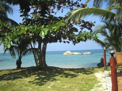 Sea Scene Resort - 22