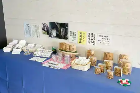 Sotetsu Fresa Inn Nagano-Ueda - 18