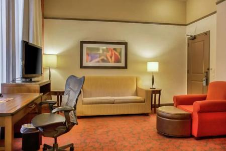 Hilton Garden Inn Downtown - 85