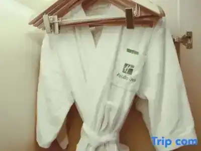 Holiday Inn Suzhou Huirong Plaza, An Ihg - 82