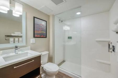 TownePlace Suites by Marriott Indianapolis Airport - 63