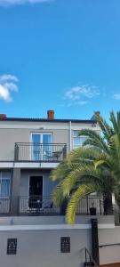 Dunedin Palms - 79