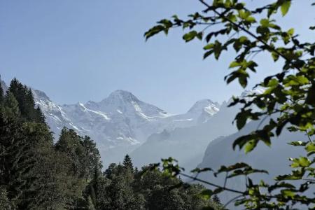 Alpenrose Wengen - zwischen Tradition und Moderne - 34