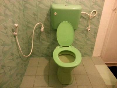 Green Palace - 7