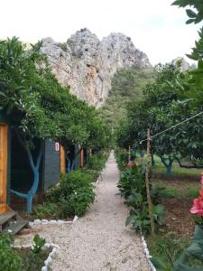 Olympos Yakamoz Pansiyon - 11