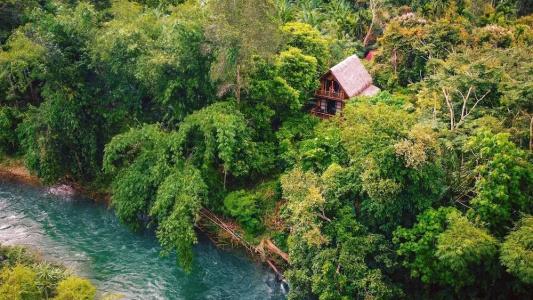 Our Jungle Camp - Eco Resort Sha Certified - 53