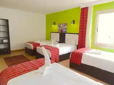 Naama Blue - 60