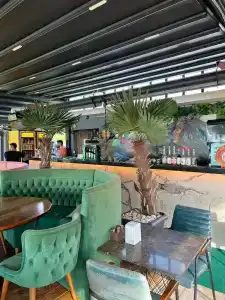 Lion Boutique - 17