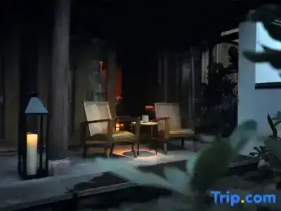 Oasis The Secret Luxury - 53