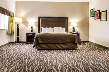 Comfort Inn Downtown Charleston - 62