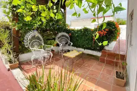 Casa Canario - 39