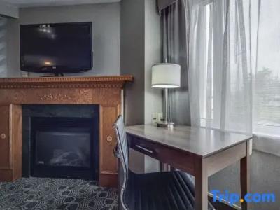 Monte Carlo Inn - 53