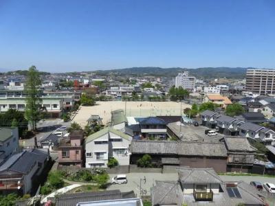 Yame Green - 5