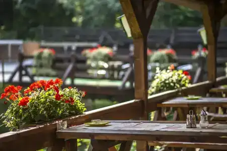 Patak Park - Adults Only - 6