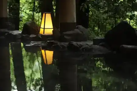 Shirasagiyu Tawaraya - 54