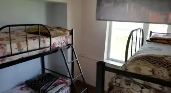 Masiv Hostel - 0