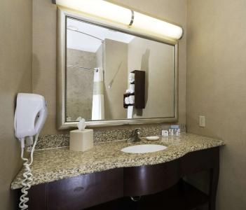 Hampton Inn & Suites I-20 - 8