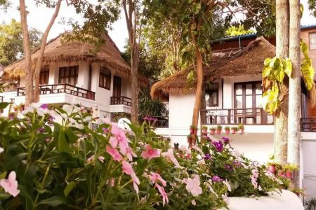 Clear View Resort - 229