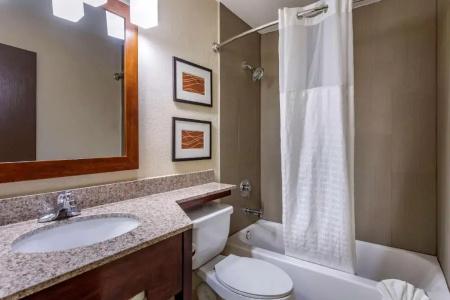 Comfort Inn Nashville West - 36