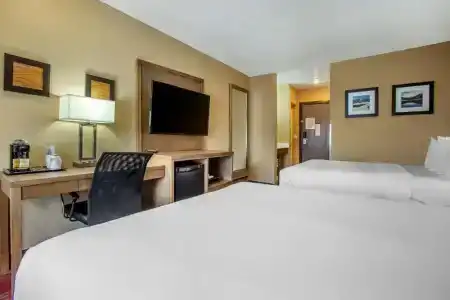 Comfort Inn Lucky Lane - 61
