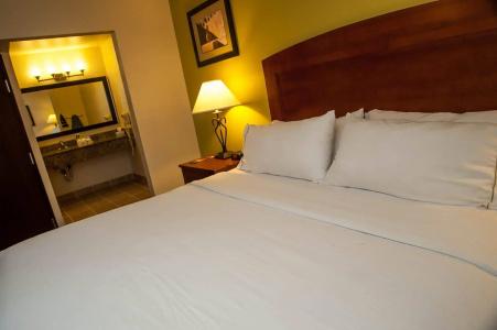 Holiday Inn Express Tucson-Airport, An Ihg - 5