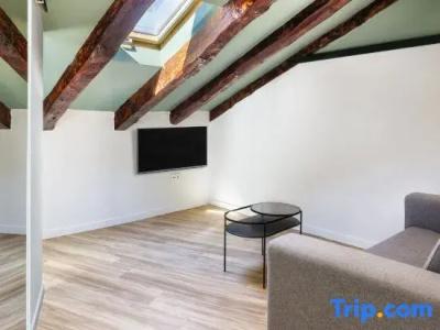 b&b Madrid Centro Plaza Mayor - 153