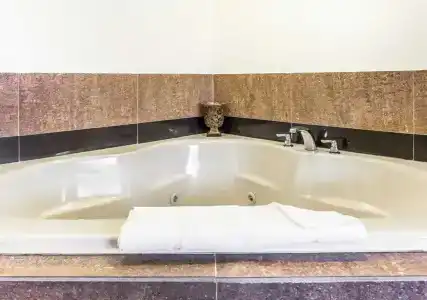 Quality Inn & Suites Coliseum - 6