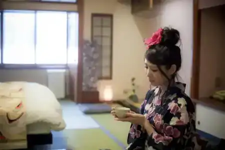 Kinosaki Onsen Hanakouji Saigetsu - 51