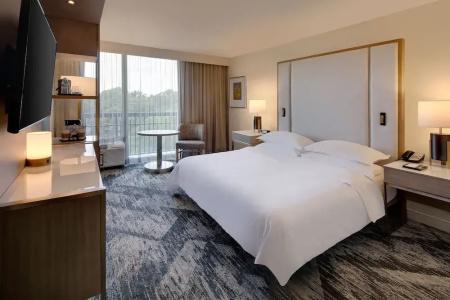 Sheraton Orlando North - 78