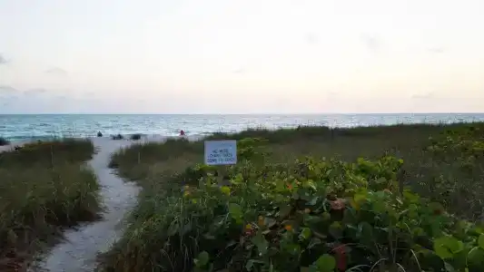 Casey Key - Gulf Shores - 61