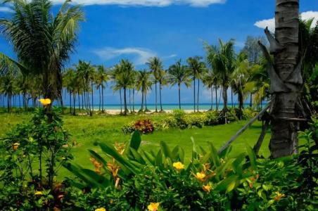 Andamania Beach Resort, Khaolak - SHA plus - 21