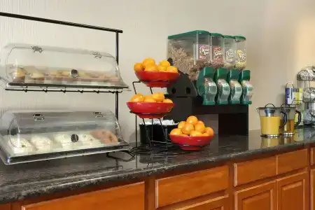 Ramada by Wyndham/Silicon Valley - 8