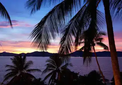 Ibis Phuket Patong - Sha Extra Plus - 17