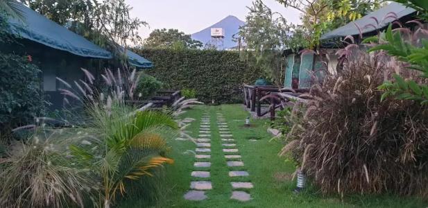 Fun Retreat Resort, and Ayurveda Spa - 18