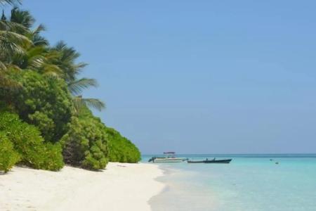 Dive Villa Thoddoo - 13