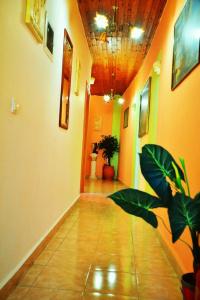 Olympos Pension - 12