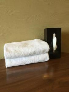 Oyo Ryokan Sparkling Dolphins Inn Kyoto - 48