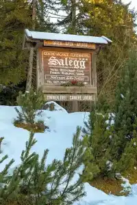 Salegg - 41