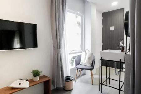 Chocolate box mint - 17