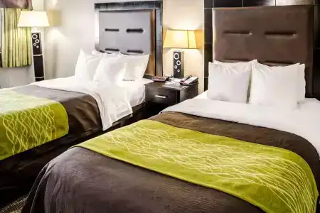 Comfort Inn Downtown Charleston - 2