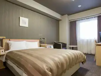 Route-Inn Tokyo Ikebukuro - 6