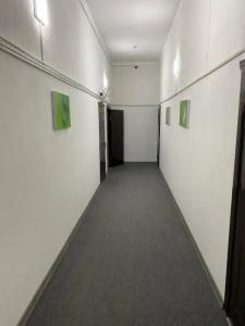 Green apple - 7