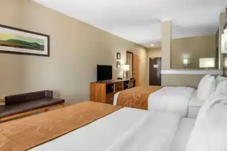 Comfort Suites - University - 41
