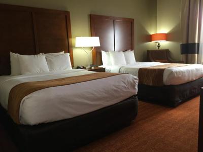 Comfort Inn & Suites near Kino Sports Complex - 2